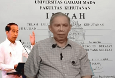 Sofian Effendi Eks Rektor UGM Klarifikasi Ijazah Jokowi dan Minta Maaf, Netizen Curiga: Ada Tekanan dari Atas?