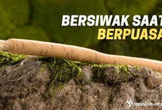 Bolehkah Bersiwak Saat Puasa? Yuk Cari Tau!