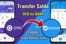 4 Cara Transfer OVO ke DANA, Hitungan Detik Langsung Masuk, Gini Caranya