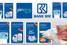 Kabar Gembira! Modal Usaha Bisa di Fasilitasi Oleh Pinjol BRI Pinang Flexi Limit 25 Juta Bunga 1,42 Persen