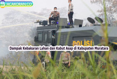 Dampak Kebakaran Lahan dan Kabut Asap di Kabupaten Muratara, Tantangan dan Upaya Penanganan