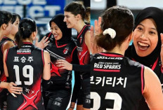 Red Sparks Mendekati Puncak Selisih 1 Poin dengan Hyundai Hillstate di Klasemen Liga Voli Korea 2024/2025
