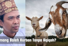 Waduh! Boleh Enggak Sih Kurban Tanpa Aqiqah? Nih Jawaban Ustaz Abdul Somad.. 