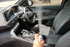 Gak Perlu Lagi Beli Parfum Mobil, 9 Bahan Alami Ini Buat Mobil Kamu Harum Semerbak dan Tahan Lama