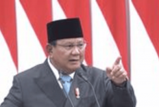 Prabowo Tegas Ancam Copot Pimpinan Bea Cukai: Kalau Tak Mampu, Silakan Mundur atau Dipecat!