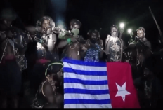 OPM Ngamuk! Ancam Tembak Mati Warga Jawa dan Pejabat yang Ada di Papua, Pemerintah Bakal Diam Saja?