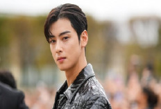 K-Drama Lovers Merapat! Ini 3 Drakor yang Wajib Ditonton Penggemar Cha Eun Woo, Penasaran?