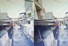 Keji! Beredar Video Kucing Bernama Timmy di Kelapa Gading, Ditembak di Kepala, Penembak Jadi Tersangka 