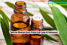 Berita Terbaru: Inovasi Terbaru dari Merk Cap Lang Mengubah Cara Kita Memandang Minyak Kayu Putih