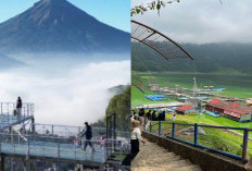 Lagi Cari Tempat Liburan Tenang? Wonosobo Punya Hidden Gem Bernuansa Alam Sejuk yang Bikin Pikiran Segar Lagi!