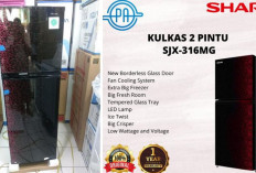 Review Kulkas 2 Pintu Sharp SJ-316MG: Freezer Super Besar, Tagihan Listrik Tetap Aman!