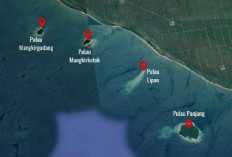 Bobby Gigit Jari, Prabowo Tetapkan 4 Pulau Sah Milik Aceh, Ini Dasarnya!