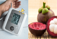 4 Fakta Buah Manggis Untuk Darah Tinggi Bikin Cepat Sembuh Tanpa Resep Dokter, Ini Rahasianya...