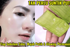 Kamu Bakal Kaget! 5 Manfaat Memakai Aloe Vera Gel Sebelum Tidur, Salah Satunya Bisa Bikin Glowing Gais, Wow