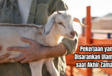 Ketika Dunia Penuh Fitnah, Inilah Pekerjaan Paling Berkah yang Disarankan Ulama saat Akhir Zaman