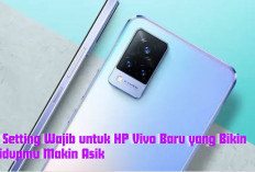 Rahasia Settingan Super! Maksimalkan Performa HP Vivo Barumu dengan 4 Langkah Ini, Begini Caranya... 