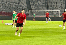 STY Siapkan 10 Pemain Naturalisasi Perkuat Timnas Indonesia Hadapi Filipina dan Irak, Siapa Mereka?