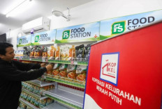 Lulusan D3–S1 Wajib Tahu! Pendaftaran SDM PHTC 2026 Resmi Dimulai