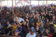 Bikin Malu se Indonesia, Kebiasaan Orang Sumsel Dugem Siang Bolong Bertajuk Organ Tunggal