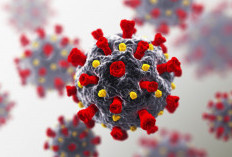 Ada Temuan 3 Kasus MERS-Cov di Arab Saudi, 1 Meninggal, WHO Ambil Langkah Ini!