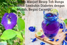Gampang dan Manjur! Resep Teh Bunga Telang untuk Sembuhin Diabetes dengan Mudah, Begini Caranya...