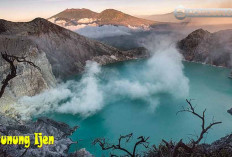 Kurang dari 2 jam sampai Puncak?  5 Gunung untuk Pendaki Pemula, Destinasi Seru yang Perlu Dicoba