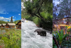 Takengon Hits Banget! Jelajahi Kalanami Resort, Arung Jeram, dan Galeri Kopi Gayo yang Wajib Dikunjungi