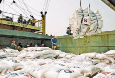 Oversupply, Harga Beras Dunia Ambruk! Thailand dan Vietnam Tersungkur, Indonesia Siap Jadi Raksasa Baru?