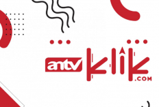 Punya Skill Digital Marketing? Kesempatan Emas Untuk Kamu Lamar Lowongan Kerja di ANTV