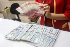 Sentimen Ekternal Picu Rupiah Pagi Ini Terkapar Dihajar Dolar AS