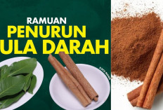 7 Obat Herbal Ampuh untuk Menurunkan Kadar Gula Darah, Yuk Lawan Diabetes dengan Bahan Alami 