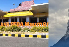 Ngeri! Gunung Lewotobi Laki-Laki Muntahkan Abu Vulkanik 2.500 Meter, Bandara Frans Seda Ditutup!