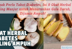 Nggak Perlu Takut Diabetes, Ini 9 Obat Herbal Paling Manjur untuk Menurunkan Gula Darah, Dijamin Ampuh!