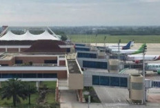 Terkuak! Ternyata Ini Alasan Pengurangan Bandara Internasional, Ketum INACA Angkat Bicara! 