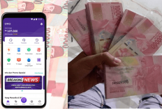 13 Game Populer dapat Saldo OVO Gratis Rp107.000 Setiap Hari, Anak-anak dan Orang Dewasa Juga Bisa Main Kok!