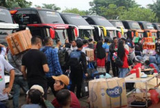 Mudik Gratis 2026: Ratusan Bus Kemenhub Siap Antar Pemudik ke Jawa dan Sumatera  