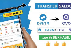 4 Cara Transfer Saldo DANA ke OVO! Mudah, Cepat, dan Praktis, Yuk Intip... 