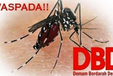 Wajib Tahu! Ramuan Efektif Menaikkan Trombosit Terkena Demam Berdarah, Murah Meriah Mudah Didapat Bro! 