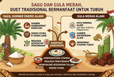 Sagu dan Gula Merah, Duet Tradisional yang Ternyata Punya Segudang Manfaat untuk Tubuh