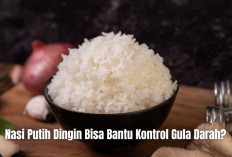 Benarkah Nasi Putih yang Dingin Bisa Bantu Kontrol Gula Darah untuk Penderita Diabetes? Ini Fakta Medisnya