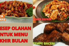 Cobain Yuk! 3 Resep Olahan Tempe yang Enak dan Nikmat, Jadi Menu Hemat Akhir Bulan Bikin Suami Tambah Sayang
