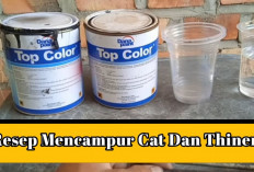Hasil Pengecatan Kurang Memuaskan? Coba Rasio Cat dan Thinner yang Benar!