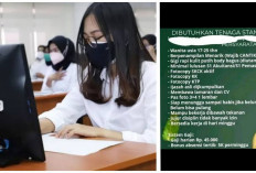Harus Pinter Banget! Berikut Info Lowongan Kerja dengan Kualifikasi Diluar Nalar, Umur 17 Tahun Minimal S1...