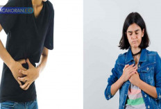 Penyakit Hati: Penyebab, Gejala, dan Cara Mencegahnya