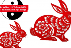 Shio Kelinci 2026 Siap-Siap! Tahun Kuda Api Bawa Kejutan Cek Ramalan Lengkap!