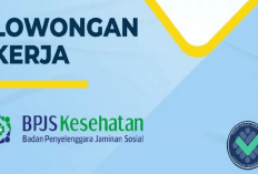 Gajinya UMR! BPJS Kesehatan Buka Lowongan Kerja Magang Untuk Posisi Administrasi, Yuk Daftar Segera Disini