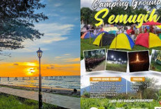 5 Tempat Wisata Low Budget di Pemalang yang Lagi Viral 2025: Mulai dari Pantai Ikonik hingga Kebun Teh Asri