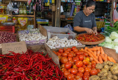 Harga Sembako Agustus 2026 Terbaru: Cabai, Telur, Beras dan Bawang Bergerak