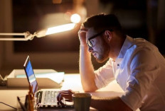 Jarang Diketahui, Orang yang Suka Bekerja Larut Malam Ternyata Lebih Cerdas, Kok Bisa? 