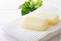 Wah, Ini 5 Fakta Menarik Sabun Mandi yang Harus Kamu Tau, Yuk simak! 